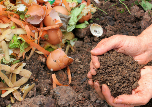 cómo hacer compost para tu huerto