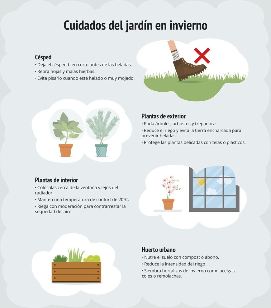 consejos para cuidar tu huerto en invierno